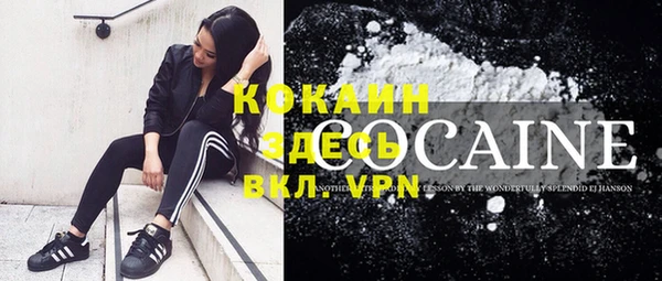 соль ск Алексин