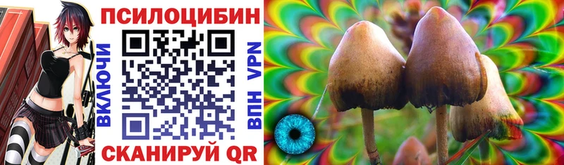 Псилоцибиновые грибы Psilocybe нарко площадка как зайти Багратионовск