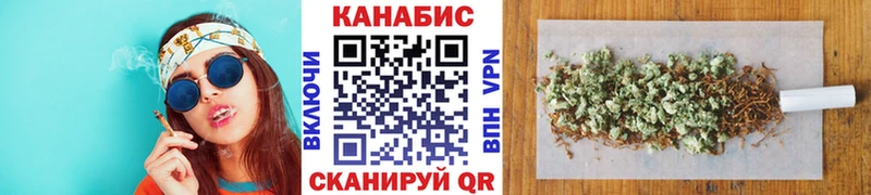 Конопля SATIVA & INDICA как найти Багратионовск